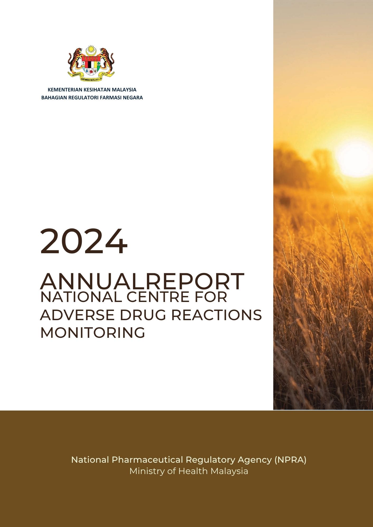 PV Annual Report 2024